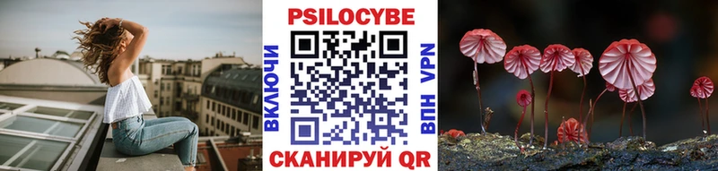 Галлюциногенные грибы прущие грибы  где можно купить   блэк спрут маркетплейс  Чулым 